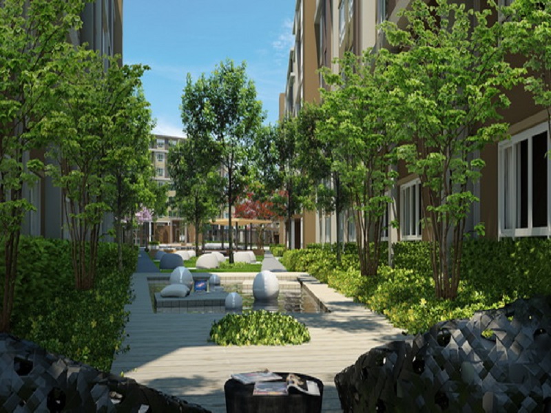 ดีคอนโด แคมปัส รีสอร์ท รังสิต (เฟส 1-2-3) (D condo Campus Resort Rangsit (Phase 1-2-3)) รูปที่ 10