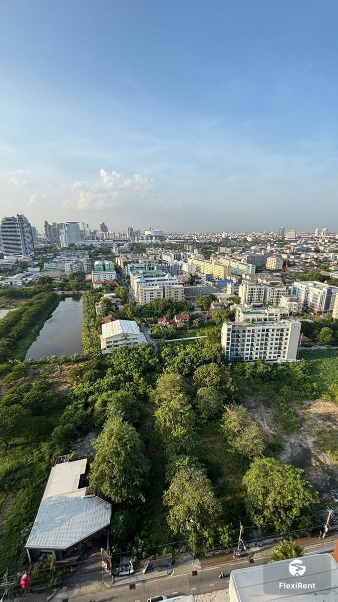 เดอะ แกลเลอรี่ แบริ่ง (The Gallery Bearing) รูปที่ 17