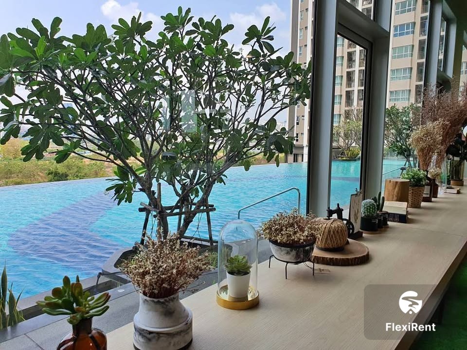 ศุภาลัย เวอเรนด้า พระราม 9 (Supalai Veranda Rama 9) รูปที่ 8